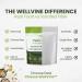 WellVine Premium Smart Prebiotic Gut Health Supplement Powder for Men & Women | Digestive Support & Gut Health With 100% Upcycled Chardonnay Grapes | Plant-Based Gluten and Allergen-Free | 4.75Oz - Buy Online on GoSupps.com