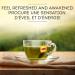 Lipton Lemon Ginseng Green Tea - 72 Count (Pack of 1) 100% Rainforest Alliance Certified Caffeinated Lemon Ginseng Green Tea 72 Count (Pack of 1) - Buy Online on GoSupps.com