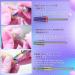 2022 Upgraded Depvko 3Pcs Nail Drill Bits Set - Tapered Barrel and Cone Shape Carbide Bits for Acrylic & Gel Removal - Rainbow Finish - Buy Online on GoSupps.com