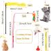 QUOZUO Cat Toys Kitten Toys Assortments 32 Packs Interactive Cat Toy Variety Pack for Kitty Cat Wand toy Cat Crinkle Balls with Bells Cat Spring Toy Catnip Toys for Indoor Cats Kittens - Buy Online on GoSupps.com