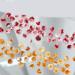 50Pcs 3D Flower Nail Multi Colors Variety Mix Camellia Flower Cute Nail Art For Manicure DIY Craft Jewelry 3d Nail For Acrylic Nails Multi-Color - Buy Online on GoSupps.com