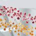 50Pcs Camellia 3D Flowers For Nails 3D For Art Bow For Nails Jewelry Trendy - Buy Online on GoSupps.com