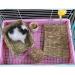 REFURBISHHOUSEÂ Rabbit Mat Grass Mats For Rabbits Safe & Edible Rabbit Mats For Cages Bunny Chew Toys For Rabbits - Buy Online on GoSupps.com