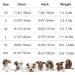 Trendy Summer Clothes for Small Dogs & Girls | Cute Puppy Dresses for Yorkies Chihuahuas & Tea Cup Breeds | Pet Princess Outfits & Birthday Costumes - Buy Online on GoSupps.com