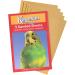 6 PACK KAGESAN RED BIRD CAGE SAND PAPER SHEETS 6 x 5 PCK 30 SHEETS 43CM X 28CM 27137 - Buy Online on GoSupps.com