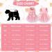 Asenku Dog Dress - Princess Lace Wedding & Birthday Outfit for Small/Medium Dogs & Cats in Light Pink - Formal Pet Clothing - Buy Online on GoSupps.com