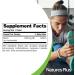 NaturesPlus Niacinamide 1000mg - Pack of 2 (180 Servings) | Immune & Skin Health Support, Energy Production, Brain Function | Vegetarian, Gluten Free - Buy Online on GoSupps.com