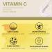Vitamin C Serum for Face - Brightening & Anti-Aging Treatment with Hyaluronic Acid, Green Tea, Vitamin C and E - 2 Fl Oz - Buy Online on GoSupps.com