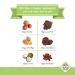 Sunny Fruit Have A Ball Organic Apricot, Cacao Nibs & Hazelnut Snacks - 4.44 oz - Buy Online on GoSupps.com