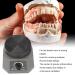 Round Plate Dental Plaster Oscillator Shaker - Speed Adjustable Metal US Plug 110v | International Shipping Available - Buy Online on GoSupps.com