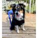 Minezi Waterproof Dog Coat - Zipper & Reflective Buttons Adjustable Strap Removable Hood XXL Black - Perfect for All Weather - Buy Online on GoSupps.com