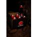 Black Fire Wild Boar Lures - 6 Pack | Attractants & Aromas | Beechwood Tar 3kg - Buy Online on GoSupps.com