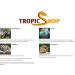 Buy Tropic Shop 8-10 Pieces Sepia Bowl Pack for Reptiles & Birds - 100% Pure Quality Calcium Supply Optimal Health - 100g - Buy Online on GoSupps.com
