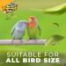 Roudybush Formula 3 Baby Bird/Parrot Hand Feeding Food 24oz (0.68KG) - Buy Online on GoSupps.com