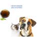 Verdana USDA Organic Cold Pressed Neem Oil 32 Fl. Oz - Non GMO Certified - High Azadirachtin Content - 100% Neem Oil for Pet Care, Skin Care, Hair Care - Buy Online on GoSupps.com