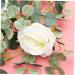 TOPBATHY 3pcs Peony Decorate Camera Insert Home Decoration Mirror Decor Wings Decoration Fake Rattan Camellia Money Leaf Household Decor White Rose Ornaments Wall Decor Eucalyptus Rose Vine As Shownx3pcs 195*9*6cmx3pcs - Buy Online on GoSupps.com