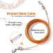 Mi Metty Dog Cable 10ft - Kausproof Leash for Large Dogs (up to 253lbs) | Outdoor Dog Runner Tether Line - Durable Orange Garden Leash - Buy Online on GoSupps.com