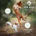 Loyaltypfote Joint Tablets for Dogs - 100 Count Made in Germany | MSM Green Lipped Mussel & Devil's Claw - 6 Month Supply - High Acceptance - Buy Online on GoSupps.com
