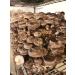 Shiitake 3790 | Live Liquid Mushroom Culture Syringe | Premium Genetics | Commercial Grade | Gourmet & Medicinal Mushroom | Contamination Free | Grow at Home | LABSIDE Industries - Buy Online on GoSupps.com