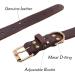 Tagme Personalized Leather Dog Collar - Engraved Name & Phone Number - Medium Brown for Dogs - 1 Pack - Buy Online on GoSupps.com