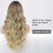 HAIRCUBE Ombre Brown & Blonde Long Curly Wig with Bangs - Heat-Resistant Synthetic Wig for Fashionable Women | Natural Appearance - Buy Online on GoSupps.com