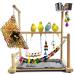 kathson Parrots Playground Bird Perch Gym Playpen Birds Chewing Toys Bridges with Swings Food Bowl for Parakeets African Grey Conures Cockatiel Cockatoos Parrotlets