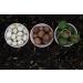 Buy Kamelur 1kg Organic Raw Macadamia Nuts - Class 1 Unshelled & Untreated - Premium Quality for Healthy Snacking - Buy Online on GoSupps.com