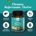 Liver Cleanse Detox & Repair Formula - Herbal Liver Support with Milk Thistle Turmeric & Dandelion Root - 120 Capsules for Optimal Liver Health - Buy Online on GoSupps.com