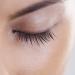 Nutra Luxe Md Eyelash Conditioner 0.1 Fl Oz - Nourishing Formula for Lush Lashes - Pack of 1 - Buy Online on GoSupps.com