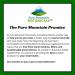 Organic Milk Thistle Capsules - 90 Vegan Caps with Silymarin Extract by Pure Mountain Botanicals - Buy Online on GoSupps.com