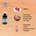 Deiman Currant Concentrate E-15 (4 fl oz) - Artificial Food Flavoring for Cooking and Baking - Buy Online on GoSupps.com