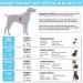 Pawtitas Reflective Step in Dog Harness - Control Walking of Your Puppy - Teal - Small/Medium/Large Harness - Buy Online on GoSupps.com