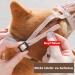 Adjustable Dog Muzzle for Small & Medium Dogs - Prevent Biting Chewing & Barking - Breathable Safety 2XL - Buy Online on GoSupps.com