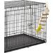 Wooden Bird Toys for Parrots - Climbing Ladders & Knitting Conductor | International Shipping - Buy Online on GoSupps.com