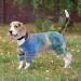 Warm Winter Dog Vest Jackets | Windproof Dog Coats & Sweaters for Small Medium Large Dogs - Rainbow Design - Buy Online on GoSupps.com