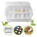 Snake Gecko Lizard Reptile Egg Incubator Tray Incubator Box with Thermometer for incubating Snake Lizard Frog Turtle,16 grids