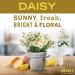 MRS. MEYER'S CLEAN DAY All-Purpose Cleaner Spray - Daisy Scent 16 oz | Eco-Friendly Effective Cleaning Solution for Home & Kitchen - International Shipping Available - Buy Online on GoSupps.com