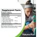 NaturesPlus Chlorophyll Complex Capsules | 600mg Organic Alfalfa | Superfood & Antioxidant Supplement | Immune Support & Energy Boost | Gluten-Free | 90 Count - Buy Online on GoSupps.com
