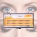 Haofy 3D Volume Artificial Cluster False Eyelashes - 60 Pieces Per Tray Lengths 6mm to 14mm Premium Extensions for Women - Buy Online on GoSupps.com
