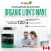Renew Actives Premium Organic Lion's Mane Mushroom 1100MG per 2 Capsules - Supports Brain Function Memory Focus Stress Relief & Immune Health Non-GMO Vegan - Made in Canada - 120 Capsules - Buy Online on GoSupps.com