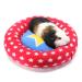 HAYPIGS Guinea Pig Toys and Accessories - Circus Themed Fleece PIGGY CRASH MAT Guinea Pig Bed - Guinea Pig Bedding - Rat Bed - Small Pet Bed - Ferret Bed