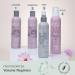 ABBA Volume Foam Styling Mousse 8 oz - International Shipping Available | Enhance Your Hair Volume - Buy Online on GoSupps.com