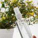 Baixinda 5-Pack Small Spray Bottles - Atomizer Pump for Plants Perfume Travel & Dust | Portable 100ml Set with Funnel - Buy Online on GoSupps.com