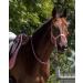 Shop NetProShop Halter & Lead Rope for Mini Shetland to XL Full - Pink Color Options - Buy Online on GoSupps.com