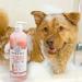 6-in-1 Medicated Dog Shampoo & Conditioner for Itchy Skin - Vet Formula for De-Shedding, Itch Relief, Smelly Odor - Made in USA - 20oz Oatmeal - Dogs & Cats Pet Wash - Buy Online on GoSupps.com
