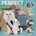 Avont Cat Recovery Suit - Post-Surgery Abdominal Wound Protection for Cats | Leak-Proof & Comfortable Modal Fabric - Ideal for Spay Castration & Weaning - Buy Online on GoSupps.com