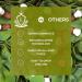 KUMIKO Revitalizing Matcha Facial Serum - Age Defying Ampoule for Men & Women | Hydrate & Plump Skin with Vitamin C - 15 Vials - Buy Online on GoSupps.com