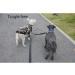 Yangbaga Double-Adjustable 360 Rotatable Dog Leash for 2 Dogs - Reflective Elastic for Walking & Jogging - Small Medium Large Dogs (Small Black) - Buy Online on GoSupps.com