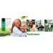 Collection 2000 + Hombre Green + Hombre Red 5.5 oz. Deodorant Bundle - Buy Online on GoSupps.com