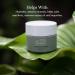 emerginC Phytocell Detox Mask - Hydrating Facial Mask with French Green Clay & Seaweed - Purifies Skin & Reduces Oils - 1.6 oz (50 ml) - Buy Internationally - Buy Online on GoSupps.com